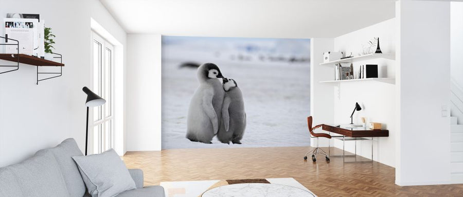 PHOTOWALL / Emperor Penguins (e325053)