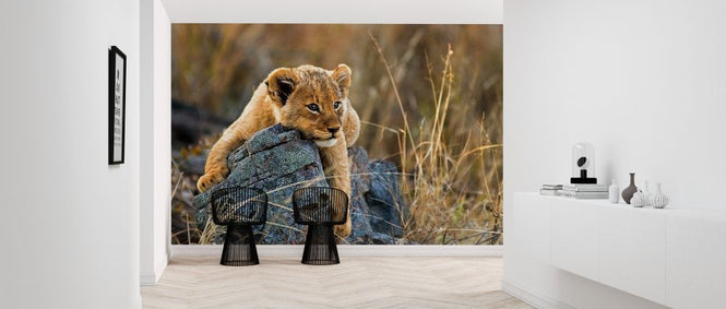 PHOTOWALL / Lion Cub (e325057)