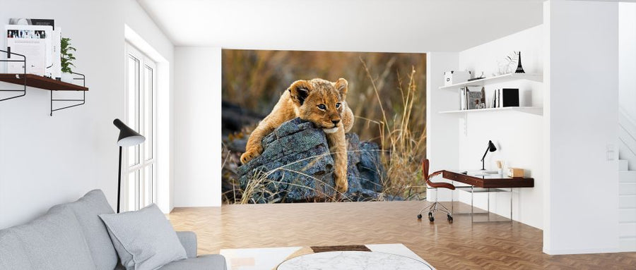 PHOTOWALL / Lion Cub (e325057)