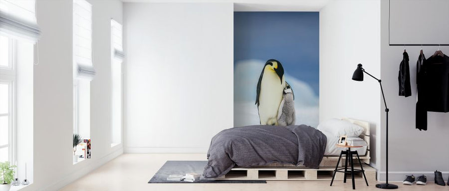 PHOTOWALL / Emperor Penguin Family (e325061)