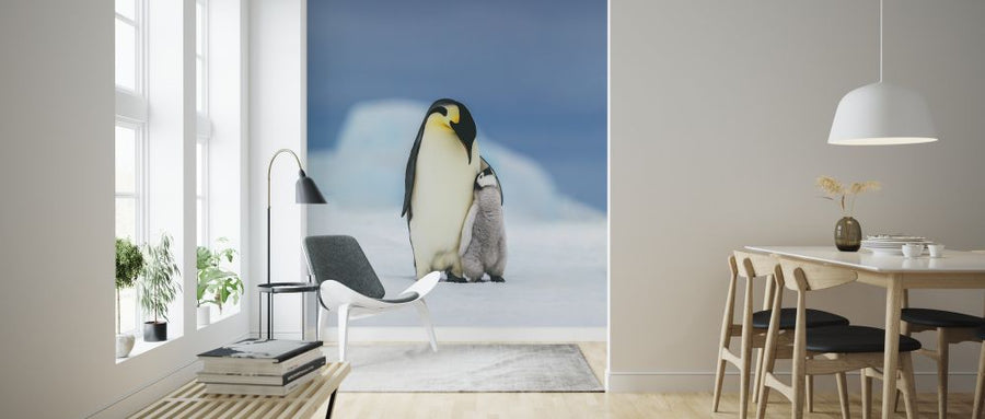 PHOTOWALL / Emperor Penguin Family (e325061)