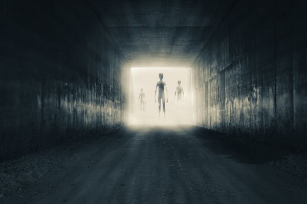 PHOTOWALL / Group of Aliens (e325067)