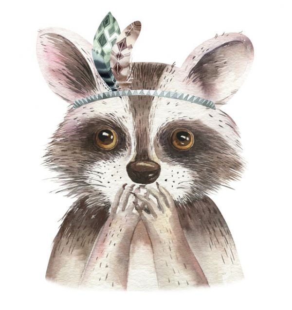 PHOTOWALL / Raccoon with Feathers II (e325073)
