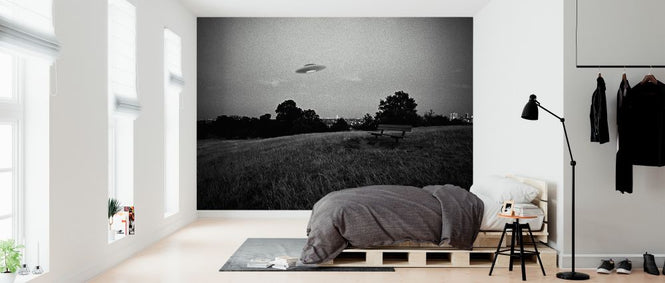 PHOTOWALL / UFO Above a Park (e325083)
