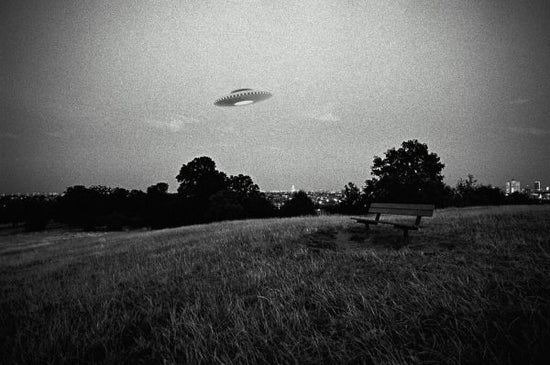 PHOTOWALL / UFO Above a Park (e325083)