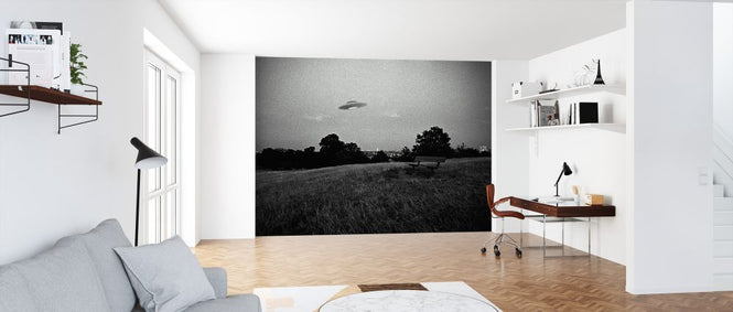 PHOTOWALL / UFO Above a Park (e325083)