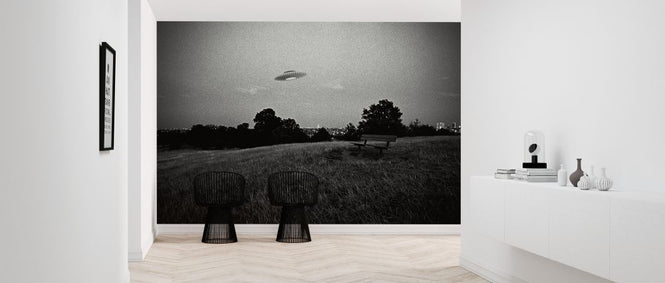 PHOTOWALL / UFO Above a Park (e325083)