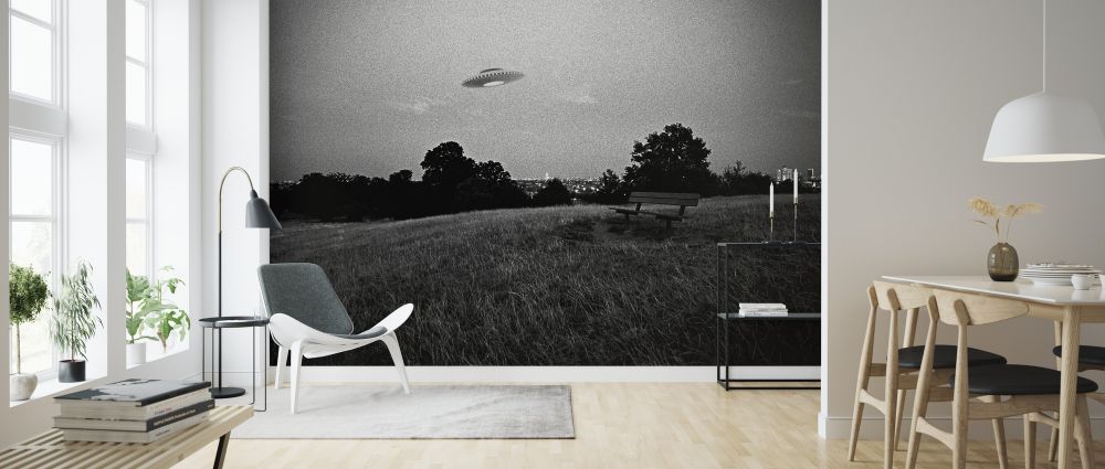 PHOTOWALL / UFO Above a Park (e325083) | 輸入壁紙専門店