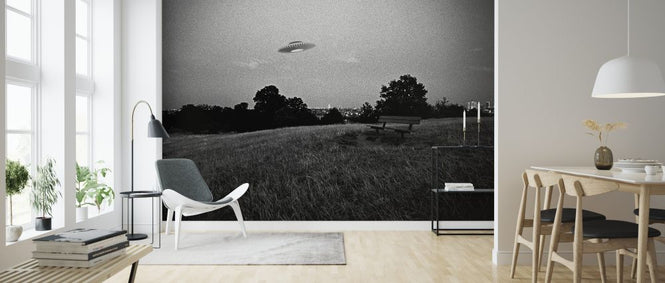 PHOTOWALL / UFO Above a Park (e325083)