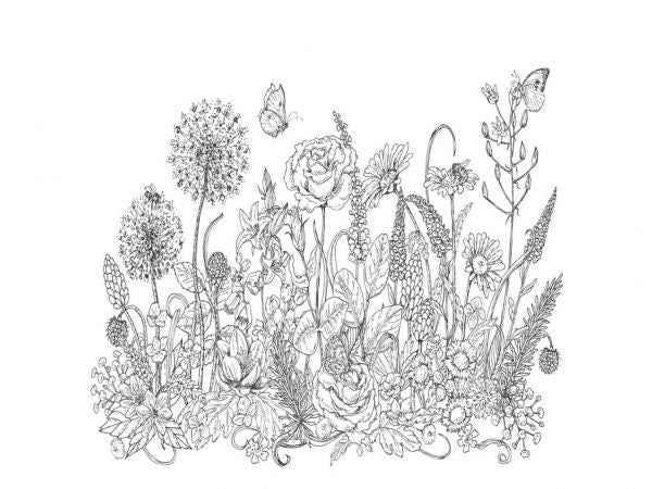 PHOTOWALL / Wildflowers and Insects Sketch (e325122)