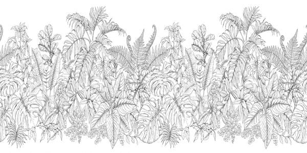 PHOTOWALL / Tropical Plants (e325123)