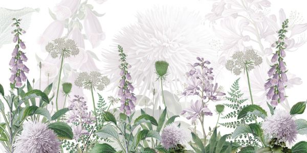 PHOTOWALL / Foxglove Flowers - Purple (e328115)