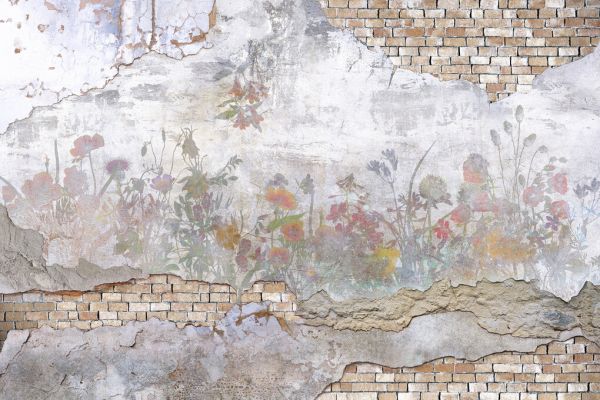 PHOTOWALL / Decorated Cracked Wall (e327989)