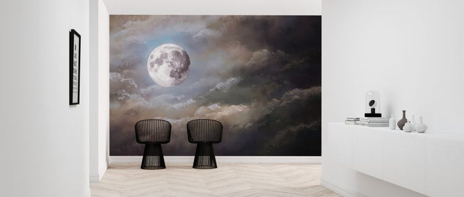 PHOTOWALL / Full Moon Night (e327991)