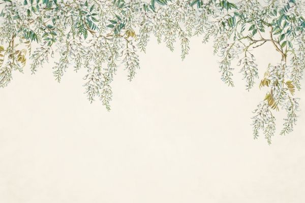 PHOTOWALL / White Wisteria (e328026)