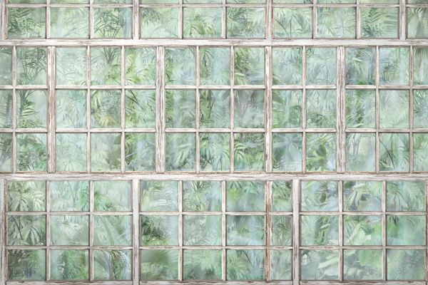 PHOTOWALL / Jungle Window View (e328123)