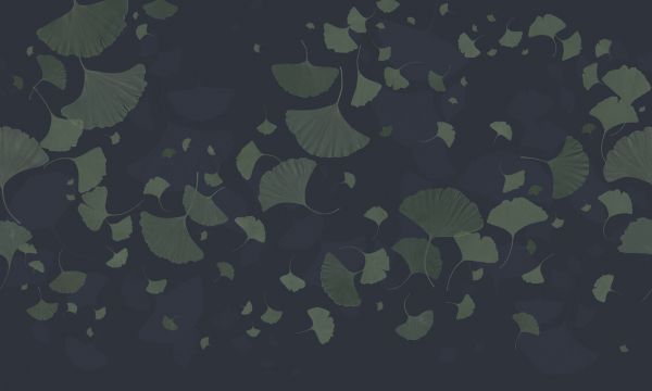 PHOTOWALL / Ginkgo biloba - Blue Green (e327695)