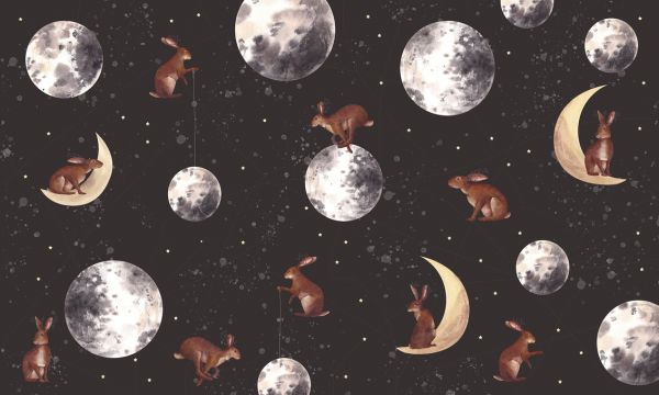 PHOTOWALL / Rabbits on the Moon (e327700)