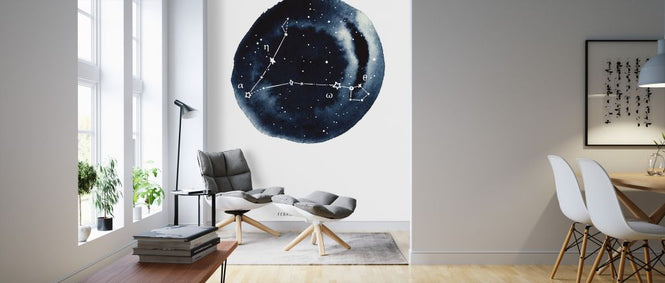 PHOTOWALL / Zodiac Sign - Pisces (e328138)