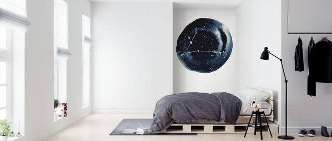 PHOTOWALL / Zodiac Sign - Pisces (e328138)