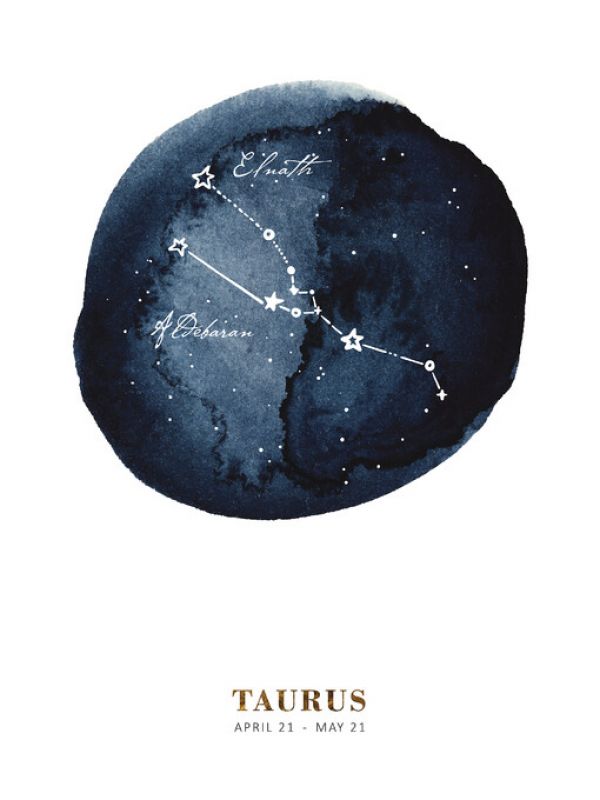 PHOTOWALL / Zodiac Sign - Taurus (e328140)