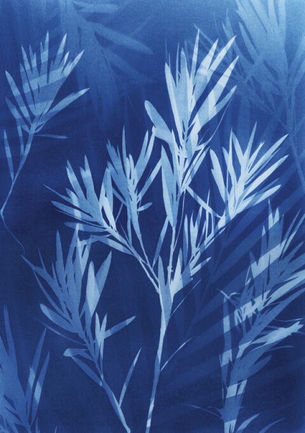 PHOTOWALL / Cyanotype Tropical III (e325291)