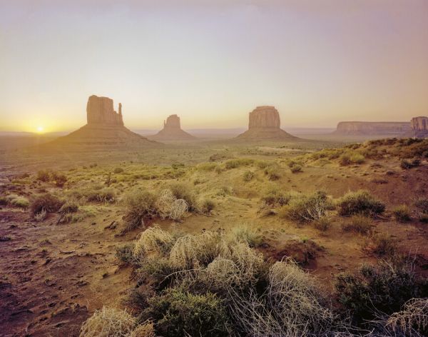 PHOTOWALL / Dawn in the Desert (e325295)