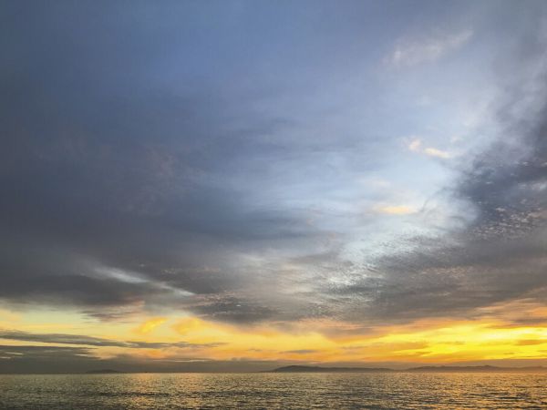 PHOTOWALL / Golden Ocean (e325296)