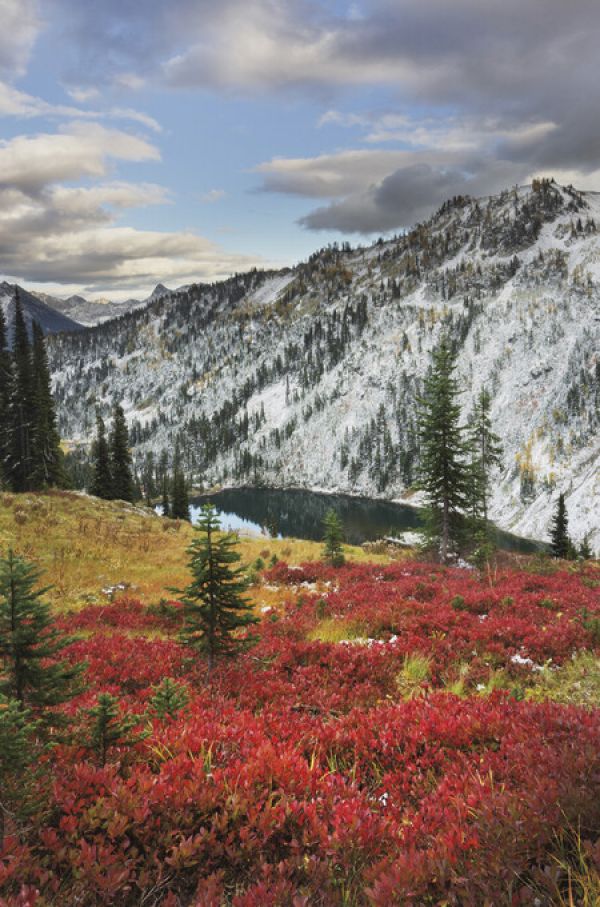 PHOTOWALL / Lake Ann North Cascades (e325325)