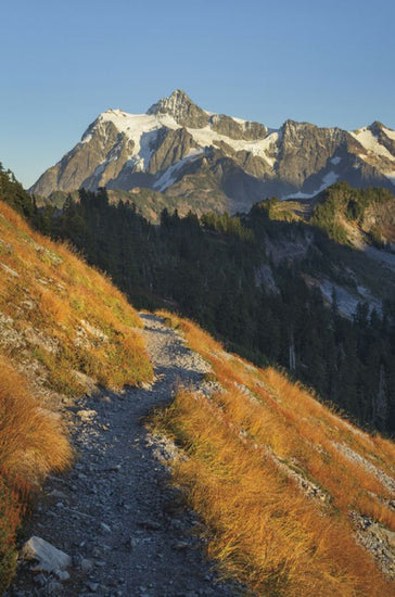 PHOTOWALL / Mount Shuksan North Cascades (e325326)