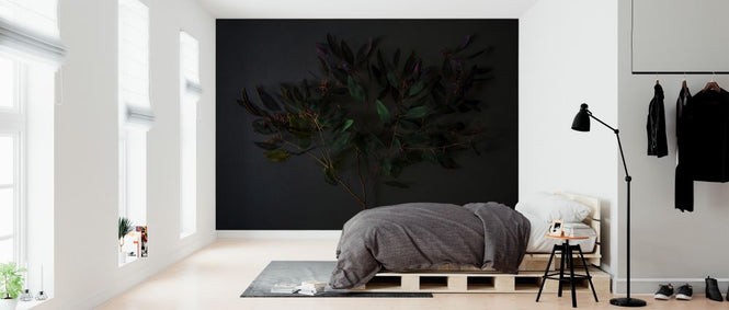 PHOTOWALL / Eucalyptus and Berries (e327735)