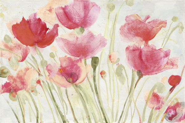 PHOTOWALL / Blush Poppies (e325360)