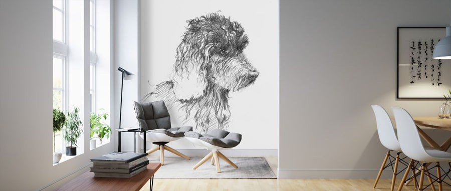 PHOTOWALL / Labradoodle Sketch (e325417)