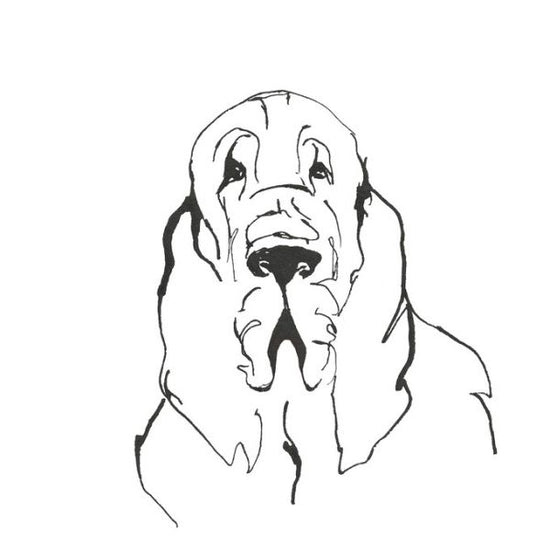 PHOTOWALL / Line Dog Bloodhound (e325442)