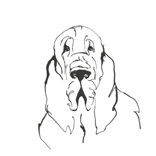 PHOTOWALL / Line Dog Bloodhound (e325442)
