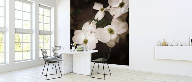 PHOTOWALL / White Dogwood (e325806)