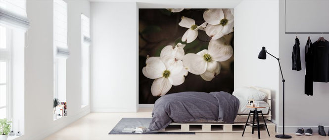 PHOTOWALL / White Dogwood (e325806)