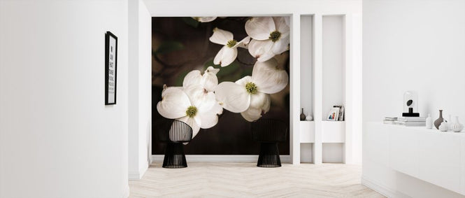 PHOTOWALL / White Dogwood (e325806)
