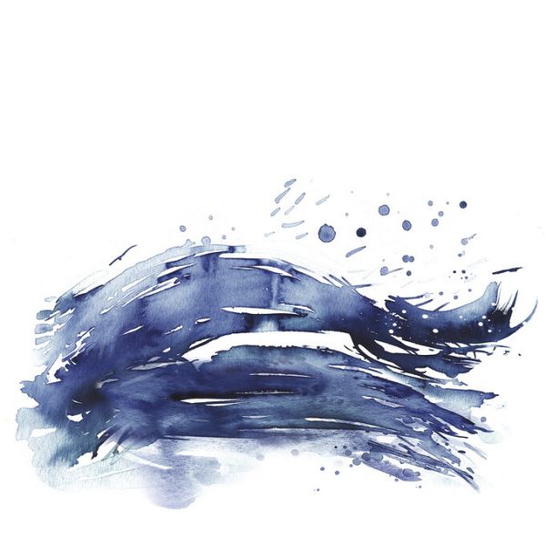 PHOTOWALL / Coastal Splash II (e325828)