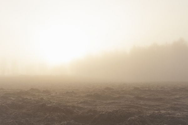 PHOTOWALL / Northern Field at Dawn (e328160)