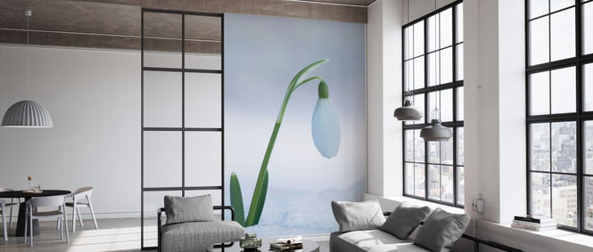 PHOTOWALL / Snowdrop Flower (e327016)