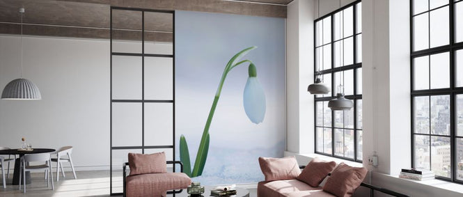 PHOTOWALL / Snowdrop Flower (e327016)