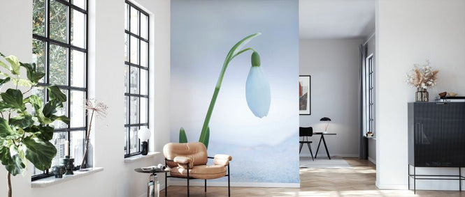 PHOTOWALL / Snowdrop Flower (e327016)