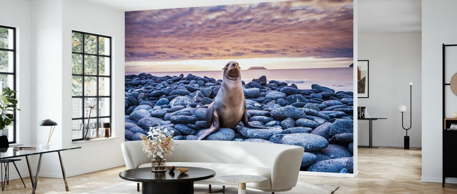 PHOTOWALL / Sea Lion on Rocks (e327020)