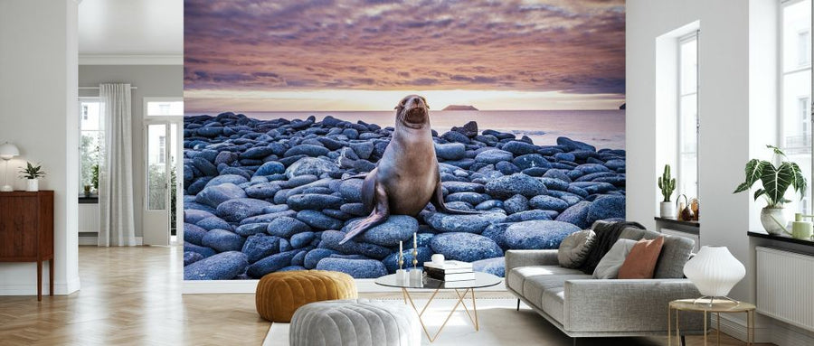 PHOTOWALL / Sea Lion on Rocks (e327020)