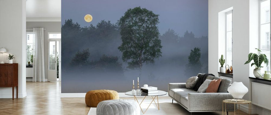 PHOTOWALL / Misty Landscape Full Moon (e327023)