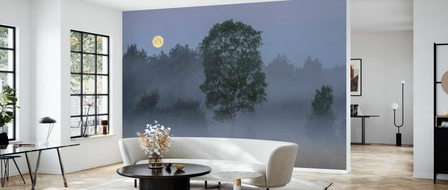 PHOTOWALL / Misty Landscape Full Moon (e327023)