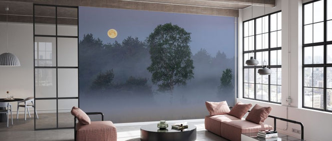 PHOTOWALL / Misty Landscape Full Moon (e327023)