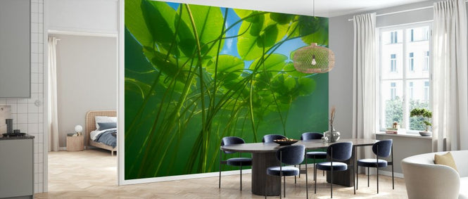 PHOTOWALL / Yellow Water Lily (e327025)