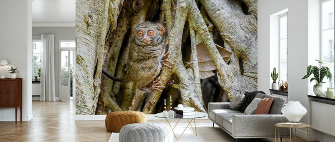 PHOTOWALL / Spectral Tarsier (e327031)